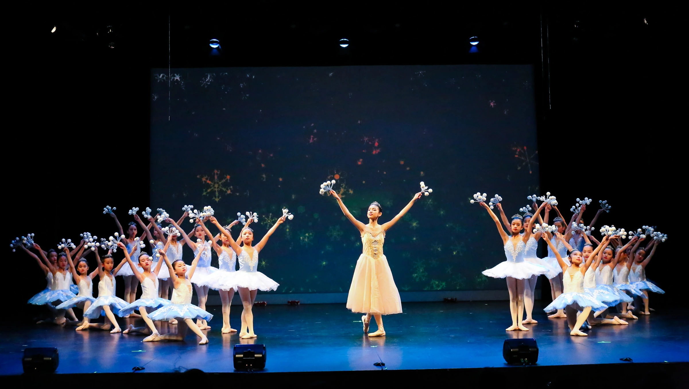 Elegance Ballet Studio Dancer
